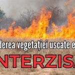 Arderea vegetației uscate - interzisă prin lege!
