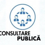 Consultare publică