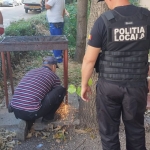 Desființarea improvizațiilor ilegale și monitorizarea platformelor de gunoi din municipiul Pitești
