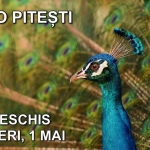 Grădina Zoologică Pitești este deschisă de 1 Mai!