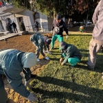 În această perioadă, floricultorii Salpitflor Green S.A lucrează intens pentru amenajările peisagistice în municipiul Pitești