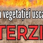 Prevenirea riscului de incendii: arderea vegetației uscate - interzisă prin lege!