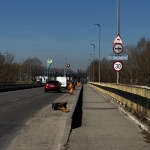 Reabilitare pod peste Râul Doamnei