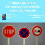 Ședința Comisiei de sistematizare a circulației rutiere și pietonale în municipiul Pitești