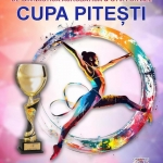 Spectacol sportiv la nivel național, la Sala Sporturilor din Pitești!