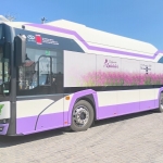 Transport gratuit la „Simfonia Lalelelor”, în Parcul „Lunca Argeșului”!