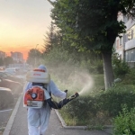Tratamente fitosanitare de toamnă, în Pitești!