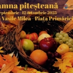 Ultimele zile pentru înscriere la „Toamna piteșteană” 2025!