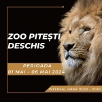 Zoo Pitești este deschisă în perioada 1 mai - 6 mai 2024 !