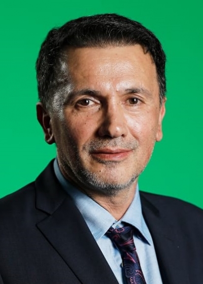 ION DUMITRACHE