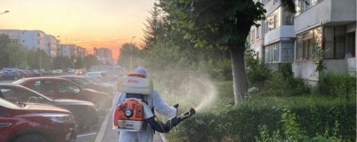 Stropiri contra dăunătorilor plantelor, în perioada 10.06-19.06.2025, la Pitești!