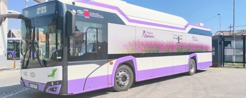 Transport gratuit la „Simfonia Lalelelor”, în Parcul „Lunca Argeșului”!