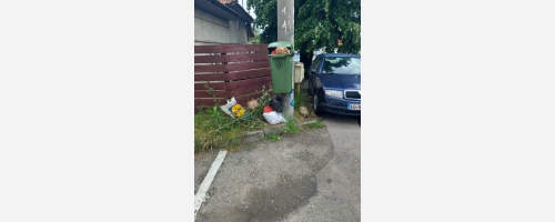 Locul sacului cu deșeuri menajere generate în casă nu este la coșurile stradale!!!