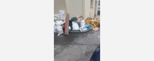 Pentru un oraș curat și civilizat: controale zilnice ale Poliției Locale Pitești privind respectarea normelor de salubritate