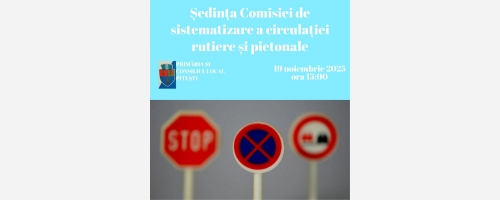 Ședința Comisiei de sistematizare a circulației rutiere și pietonale în municipiul Pitești